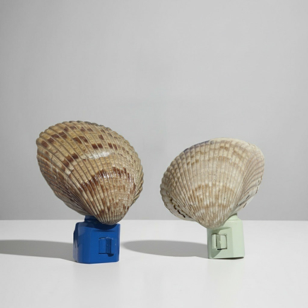 Night Light -2 bundle